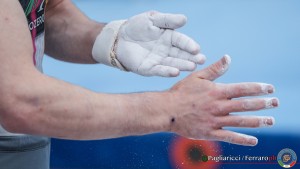 seri a2 varie lpg09366 ph pagliaricci ferraro